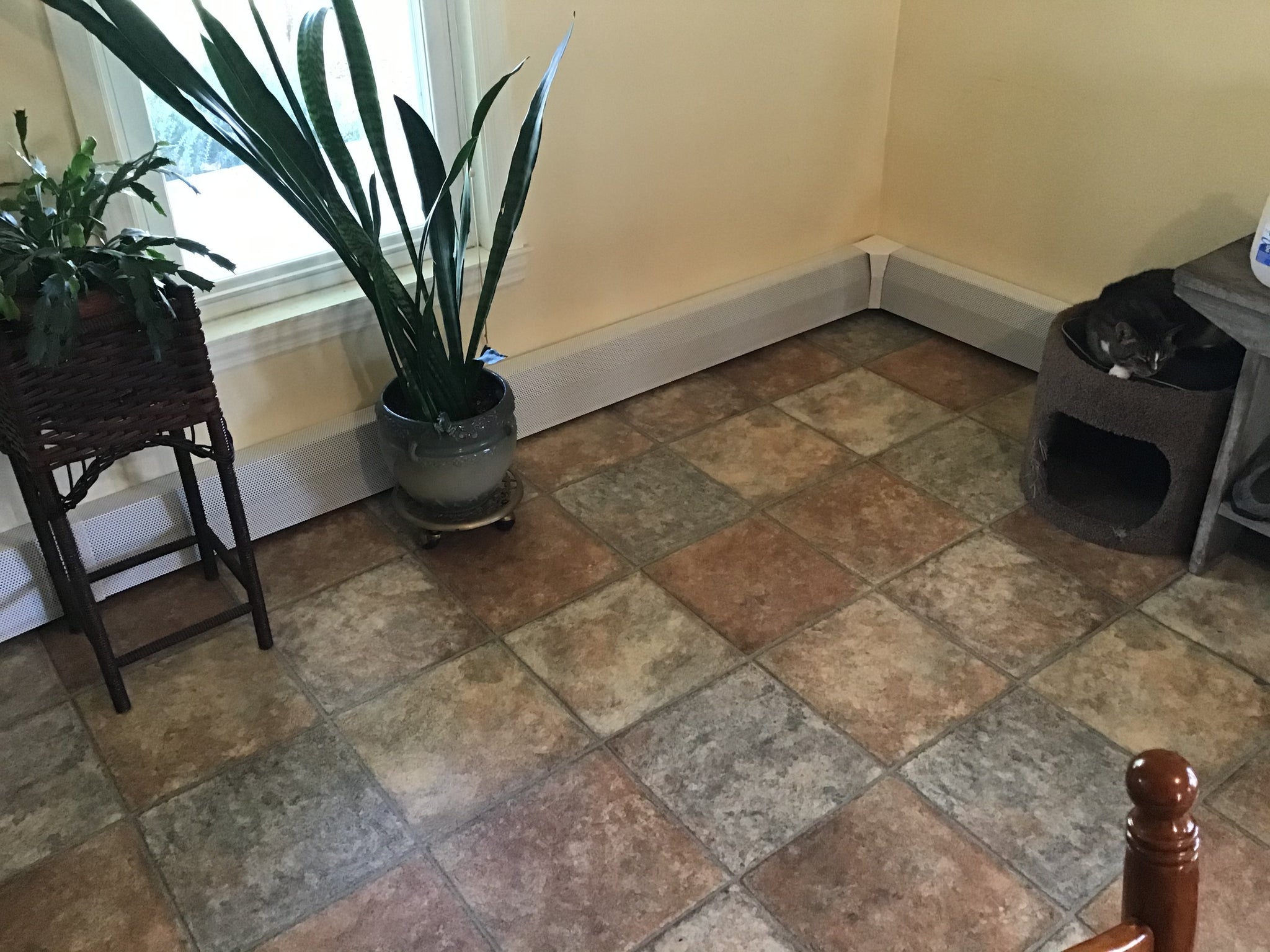 What You Might Not Know About Baseboard Heaters